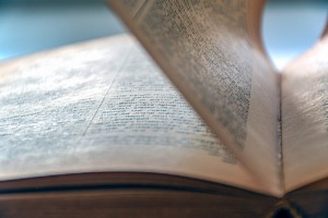 Reading Literature Library Textbook  - Ri_Ya / Pixabay