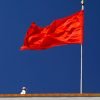 Red Flag Socialism Flagpole  - Peggy_Marco / Pixabay