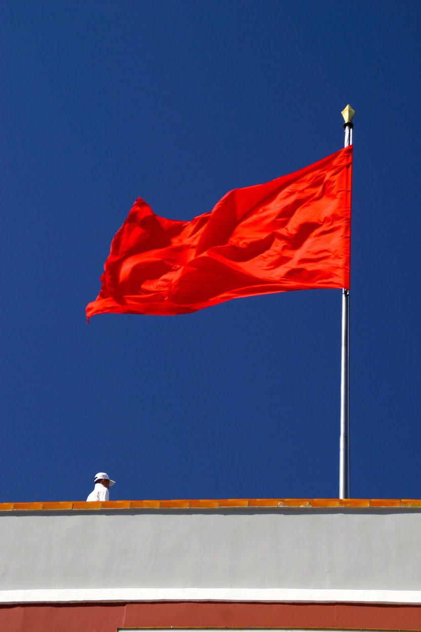 Red Flag Socialism Flagpole  - Peggy_Marco / Pixabay