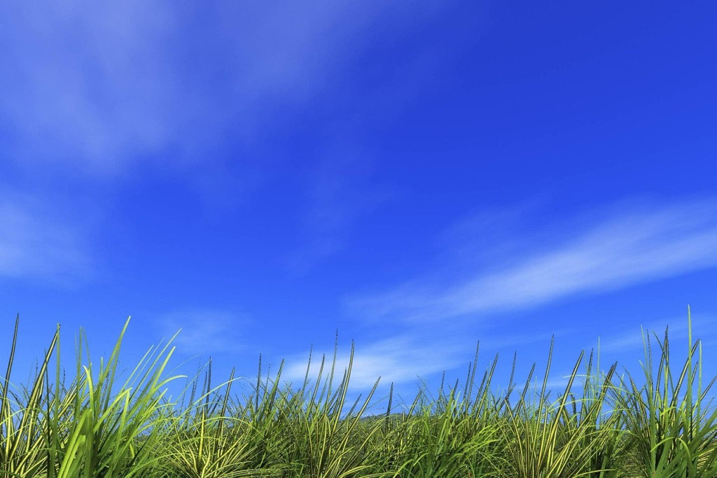 Refreshing Hill Field Summer Earth  - lacasadicomo / Pixabay