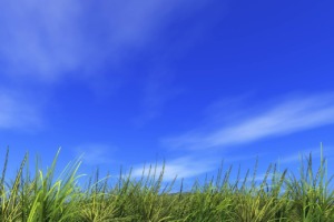 Refreshing Hill Field Summer Earth - lacasadicomo / Pixabay