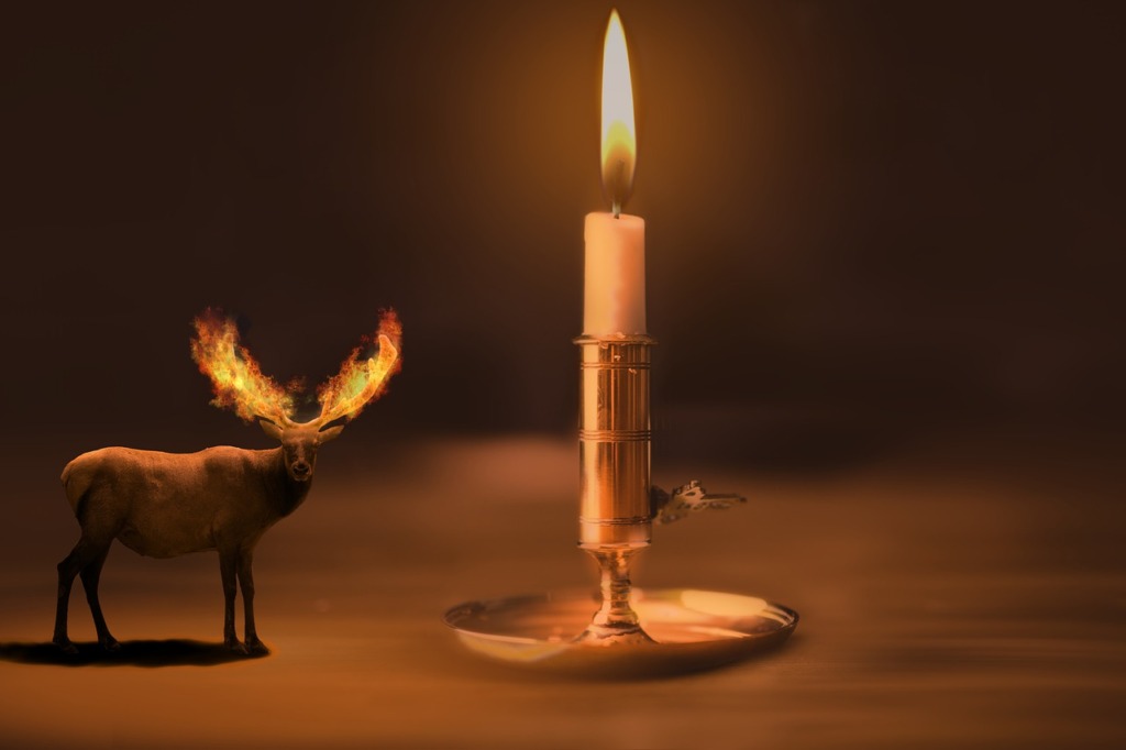 Reindeer Candle Fire Animal  - mau_king / Pixabay