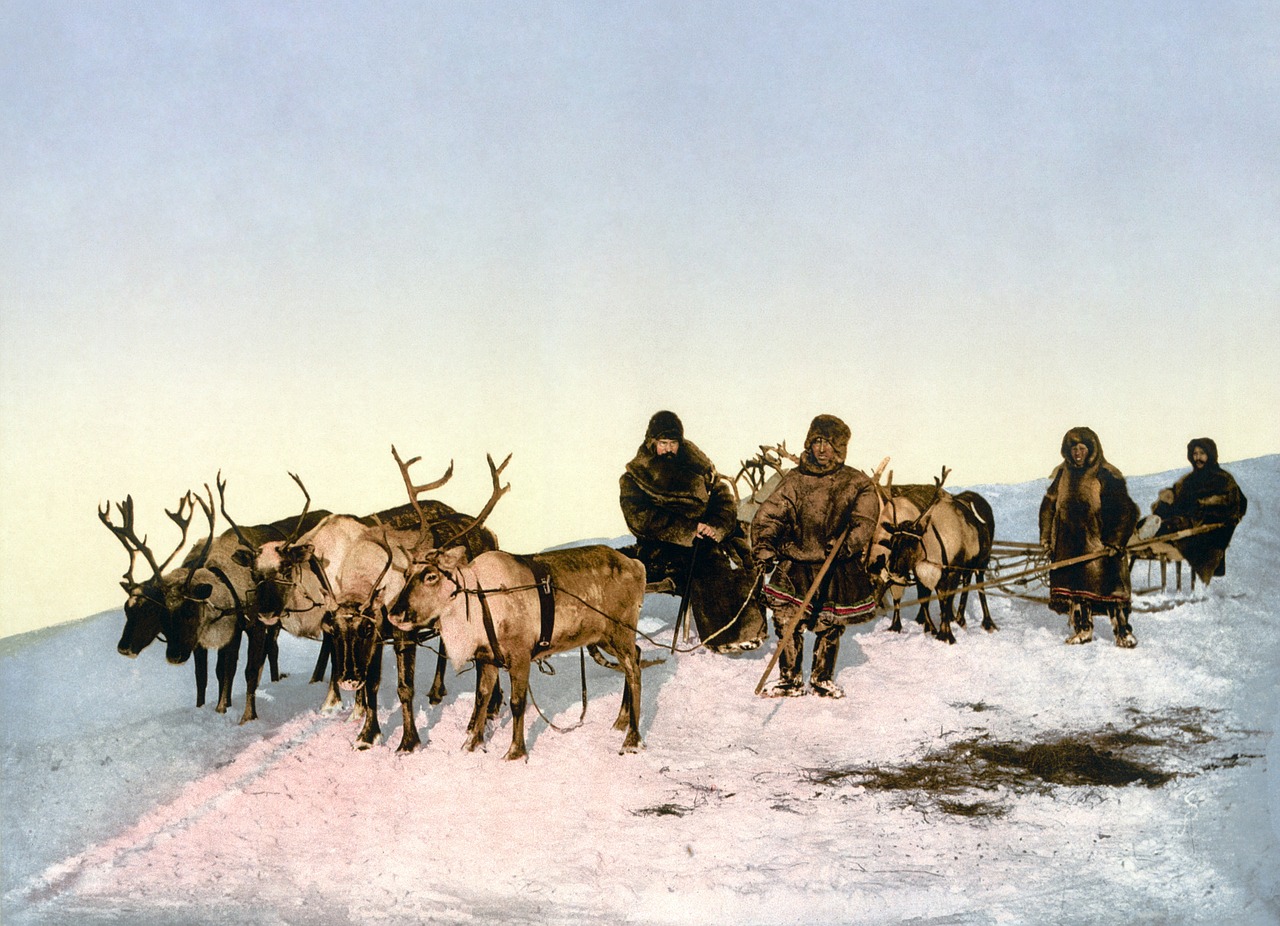 Reindeer Sleds Reindeer Sleigh - WikiImages / Pixabay