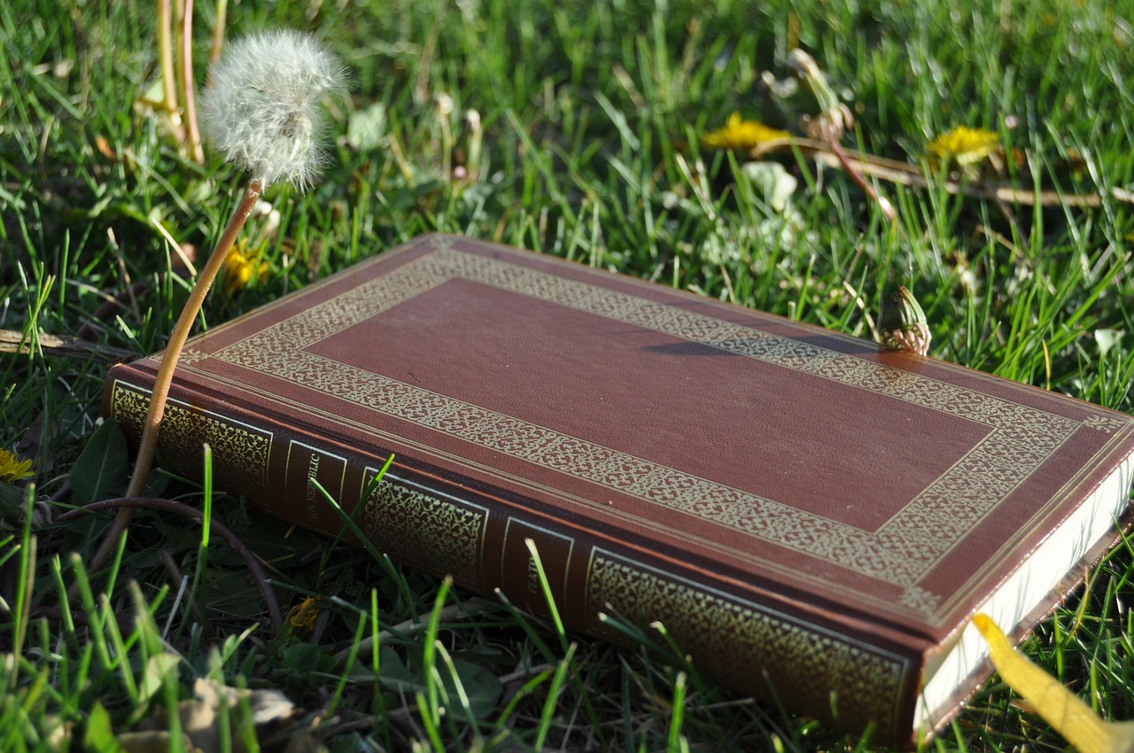 Republic Plato Book Argument  - CorbeauCreative / Pixabay