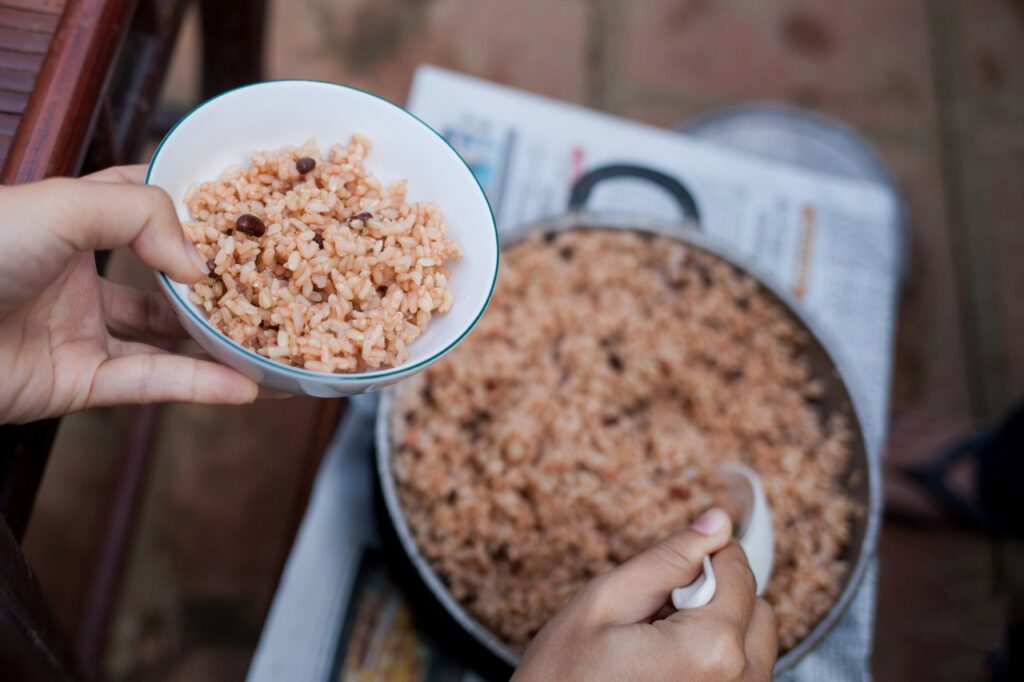 Rice Bowl Preparation Kitchen  - phamphuonglinh / Pixabay