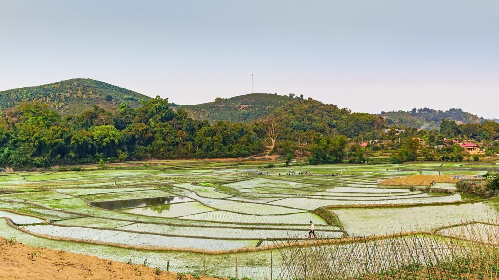 Rice Paddies Mountains Farm  - TranDuyet / Pixabay
