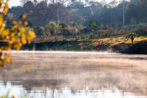 River Fog Bank River Bank  - jonasmsantos / Pixabay