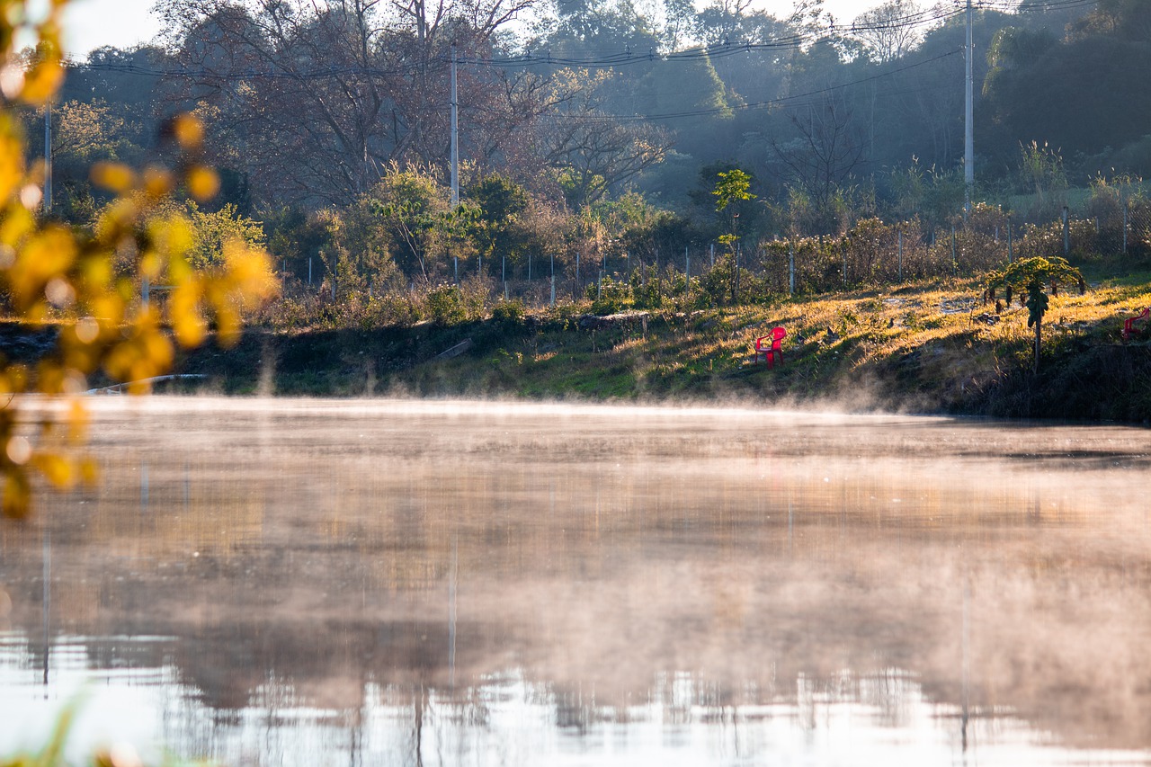 River Fog Bank River Bank - jonasmsantos / Pixabay