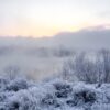 River Fog Snow Frost Morning Dawn  - Purgin_Alexandr / Pixabay
