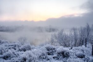 River Fog Snow Frost Morning Dawn  - Purgin_Alexandr / Pixabay