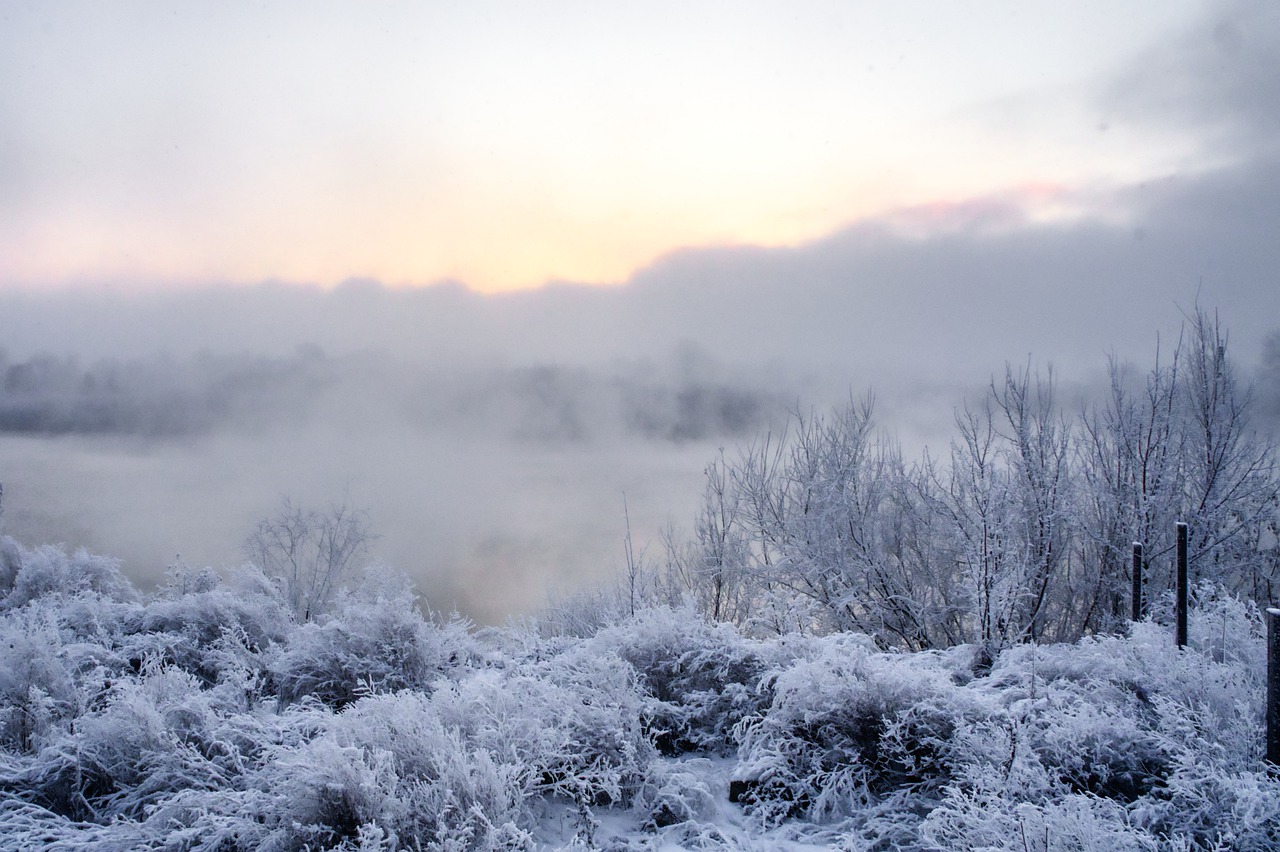 River Fog Snow Frost Morning Dawn  - Purgin_Alexandr / Pixabay