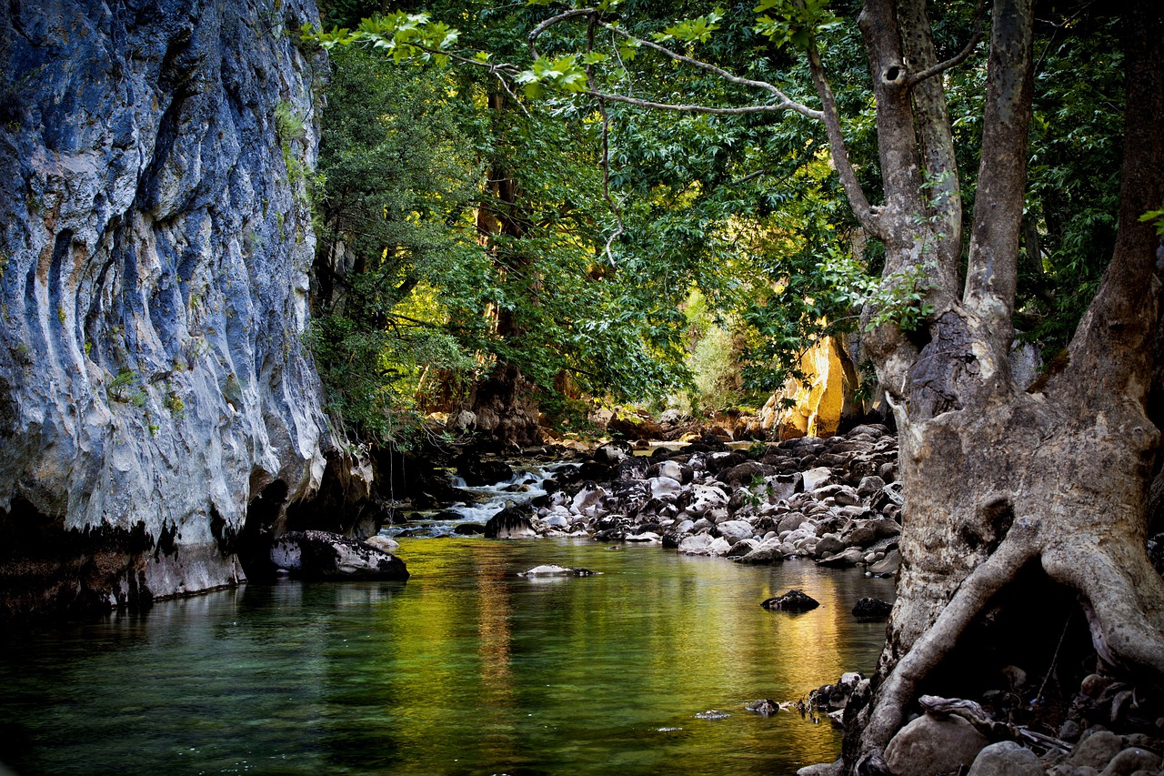 River Rocks Trees Mountains Forest  - GLITTENBERG / Pixabay
