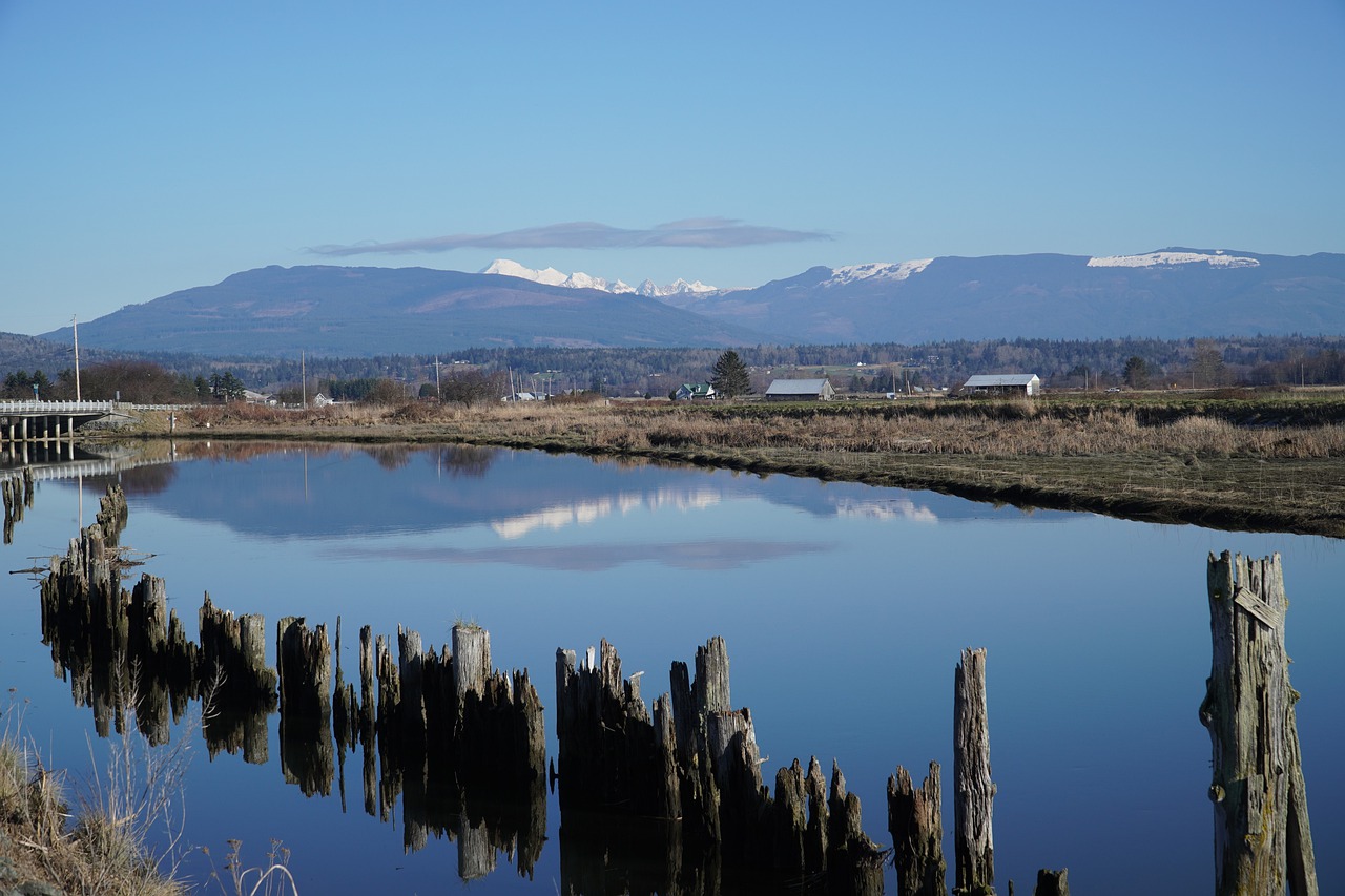 River Town Mountains Reflection  - Veronika_Andrews / Pixabay