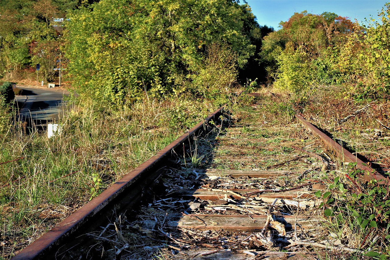 Road Nature Autumn Fall  - Silberkugel66 / Pixabay