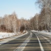 Road Trees Nature Winter Season  - azxa661 / Pixabay