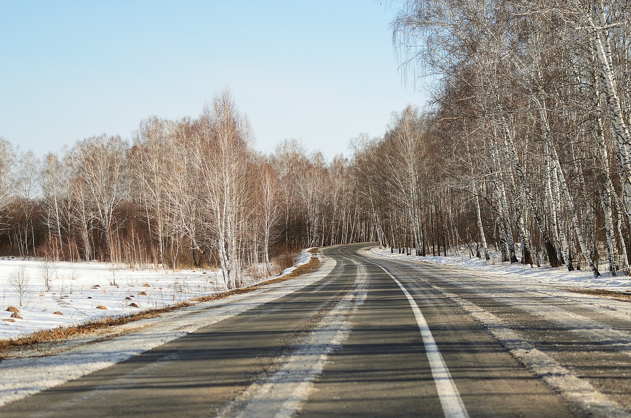 Road Trees Nature Winter Season  - azxa661 / Pixabay