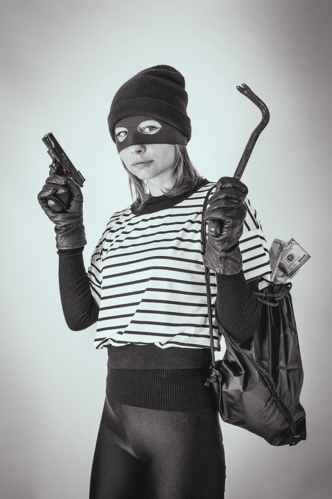 Robber Thief Woman Robbery  - Victoria_Borodinova / Pixabay