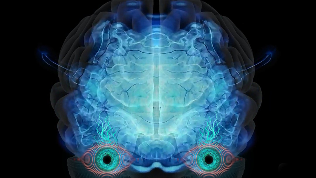 Robot Brain Eyes Futuristic  - ParallelVision / Pixabay