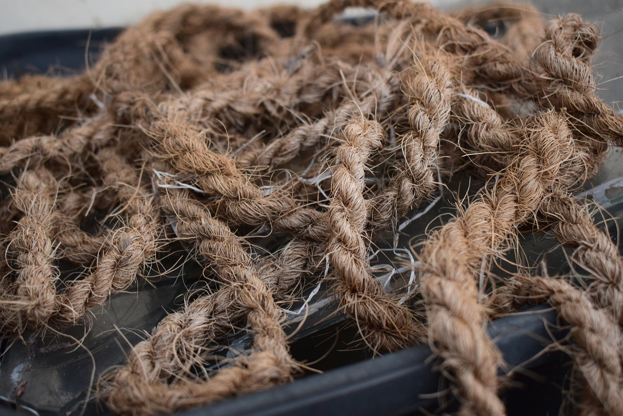 Rope Lasso Western Wild Outdoors  - amptize / Pixabay