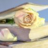 rose book old book blossom used 2101475