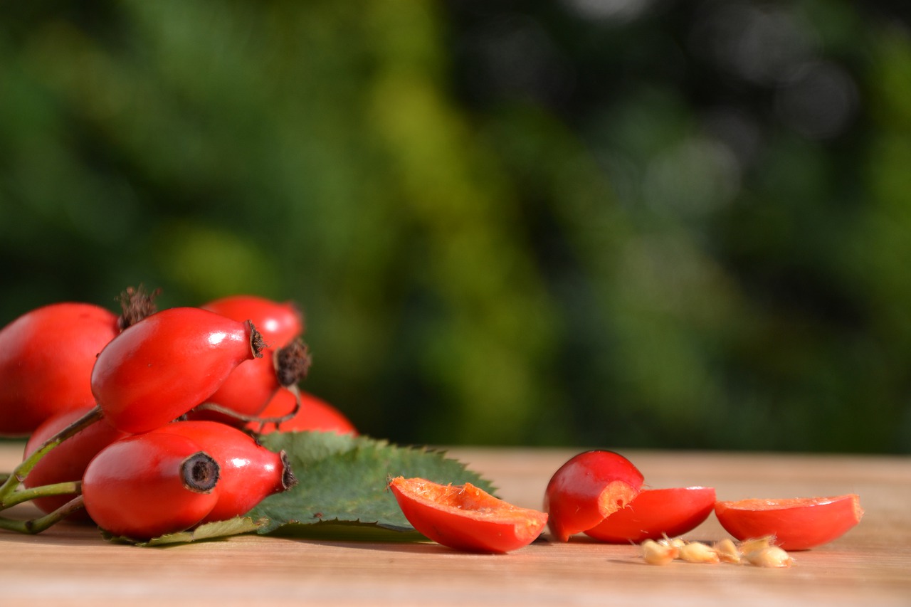 Rose Hip Fruit Wild Rose  - Innviertlerin / Pixabay