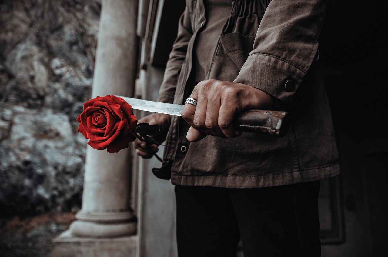 Rose Roses Multi Flower Increase  - ghostw1997 / Pixabay