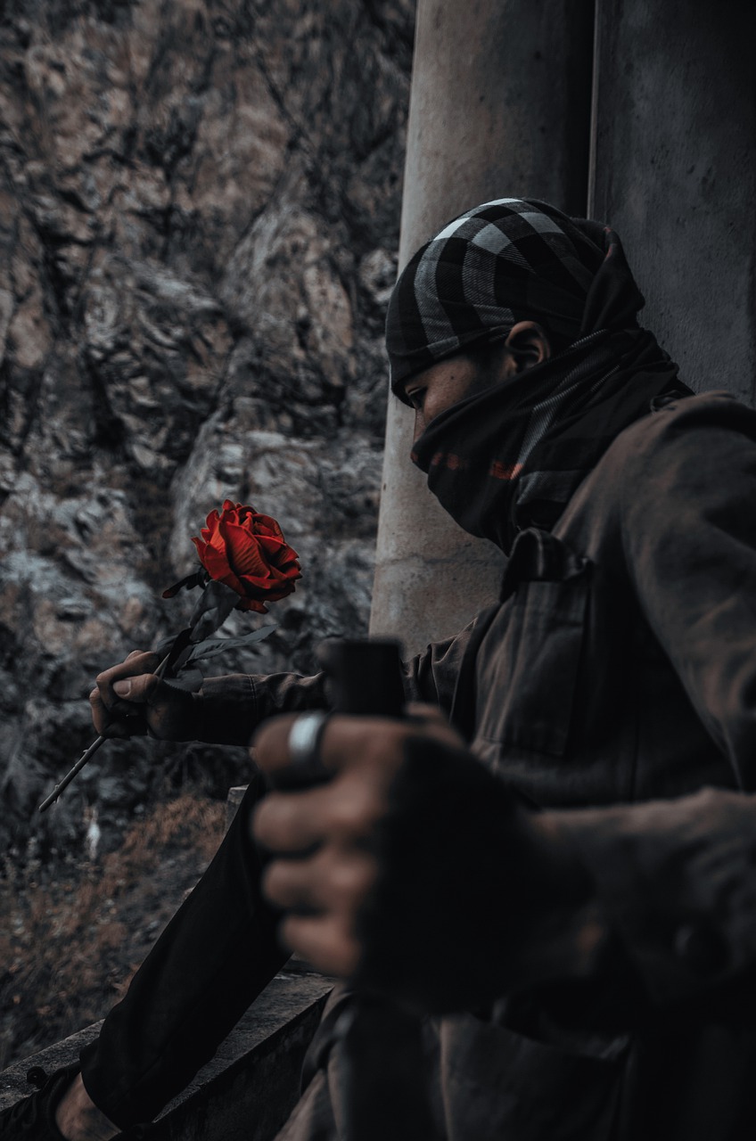 Rose Roses Multi Flower Increase  - ghostw1997 / Pixabay