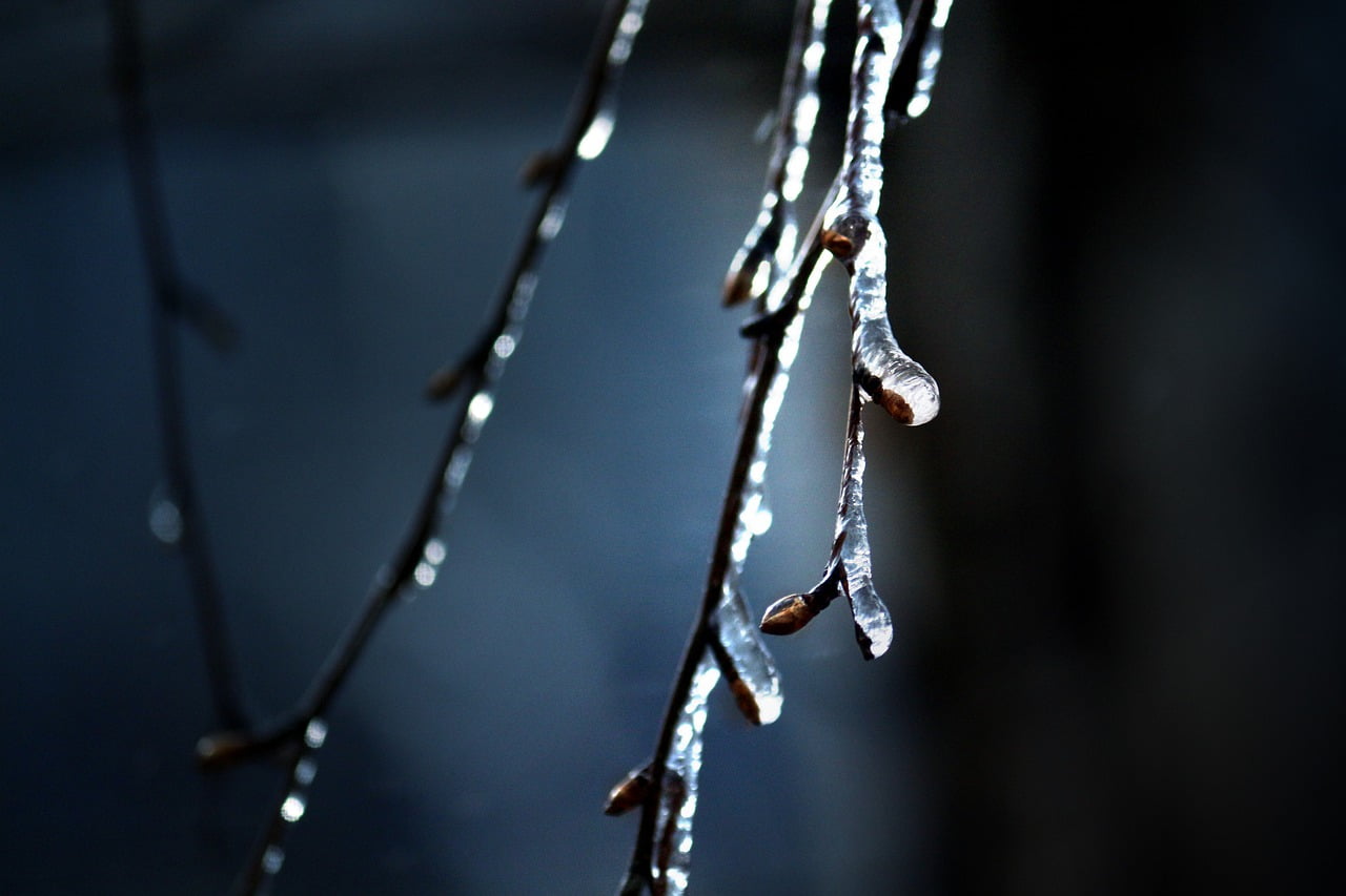 Russia Saratov Winter Cold Berezka - DenisK_2017 / Pixabay