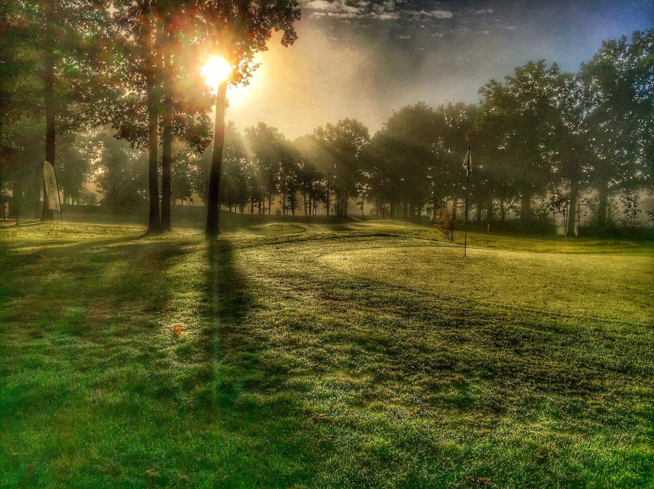 green grass field with trees under blue sky during daytime