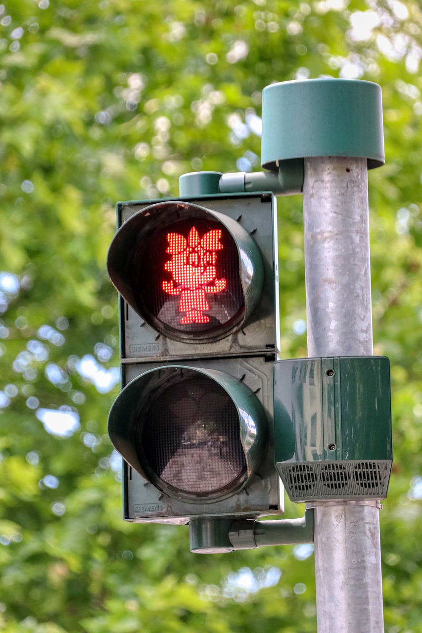 Saarlodris Saarbr%C%BCcken - planet_fox / Pixabay