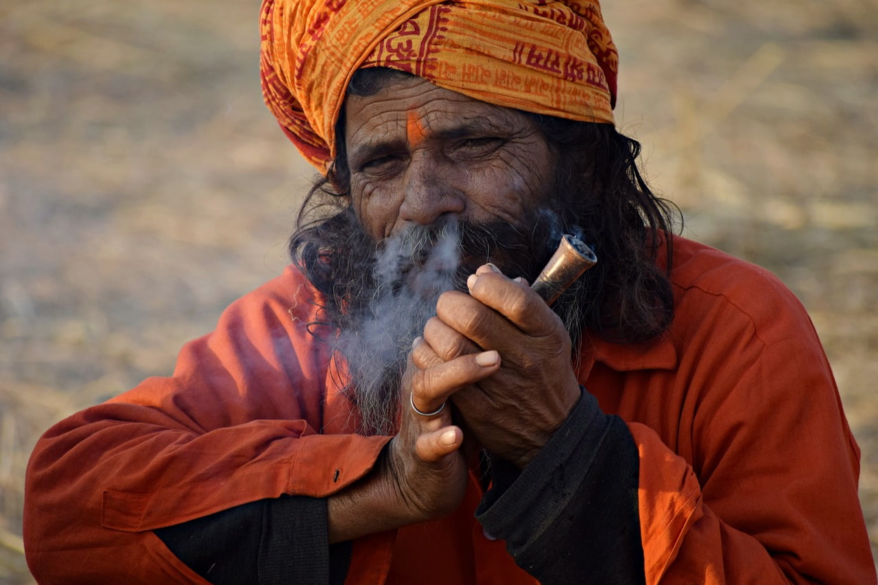 Sadhu Hermit India Guru Beard - balouriarajesh / Pixabay