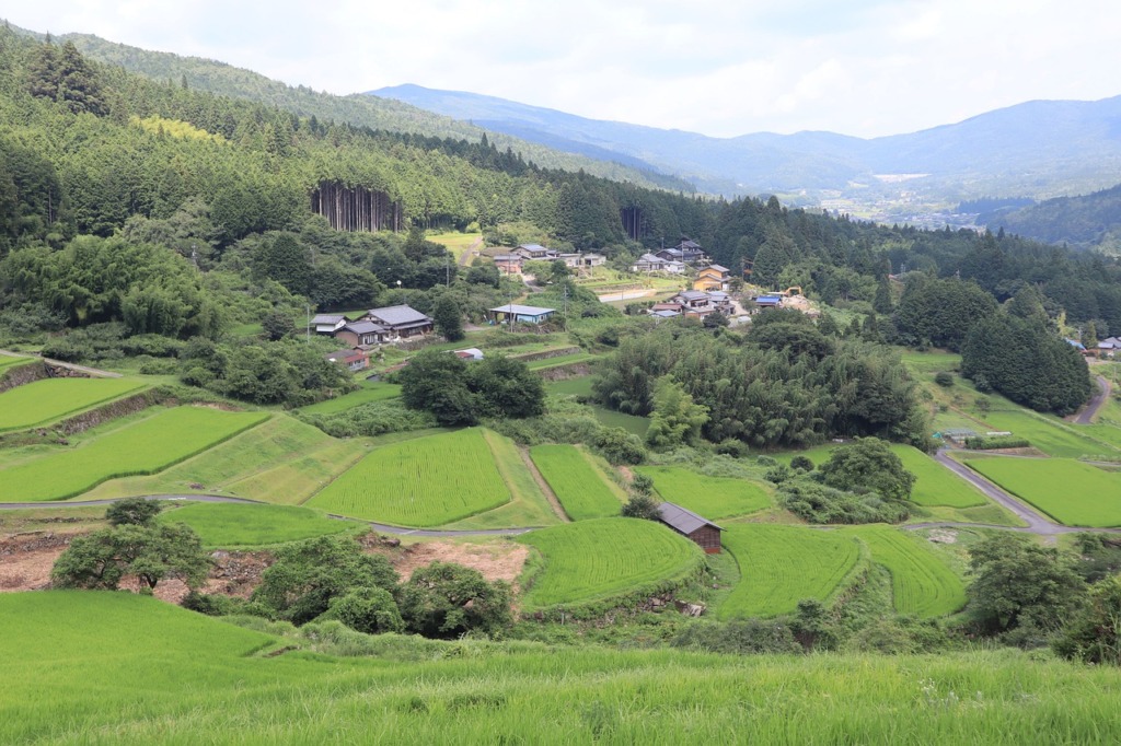 Sakaori Terraced Rice Fields  - aimnotboy / Pixabay