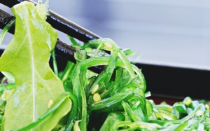 Salad Chuka Wakame Chopsticks  - pixel2013 / Pixabay