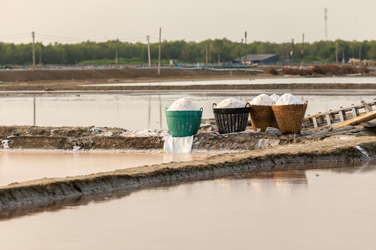 Salt Farm Thailand Agriculture - PhotoExpozure / Pixabay