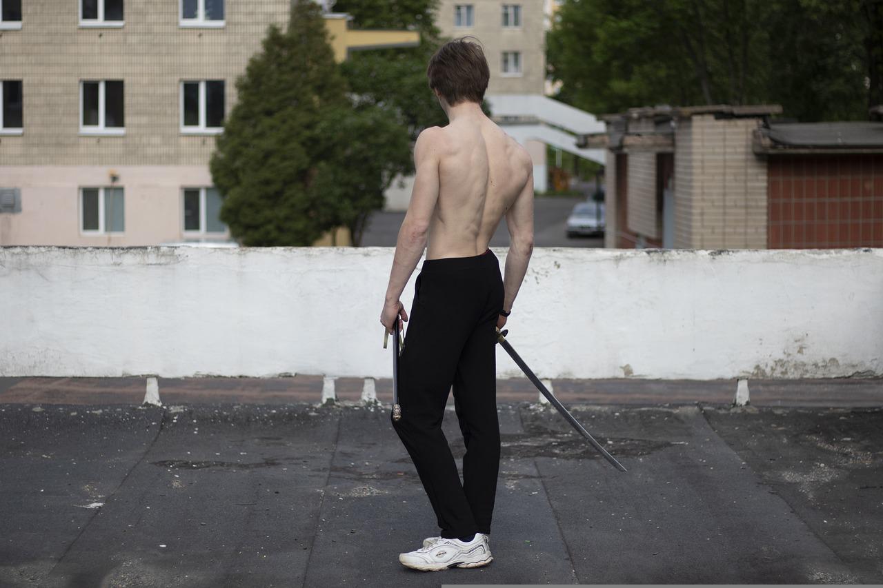 Samurai Katana Warrior Sword Back  - Raman_Spirydonau / Pixabay