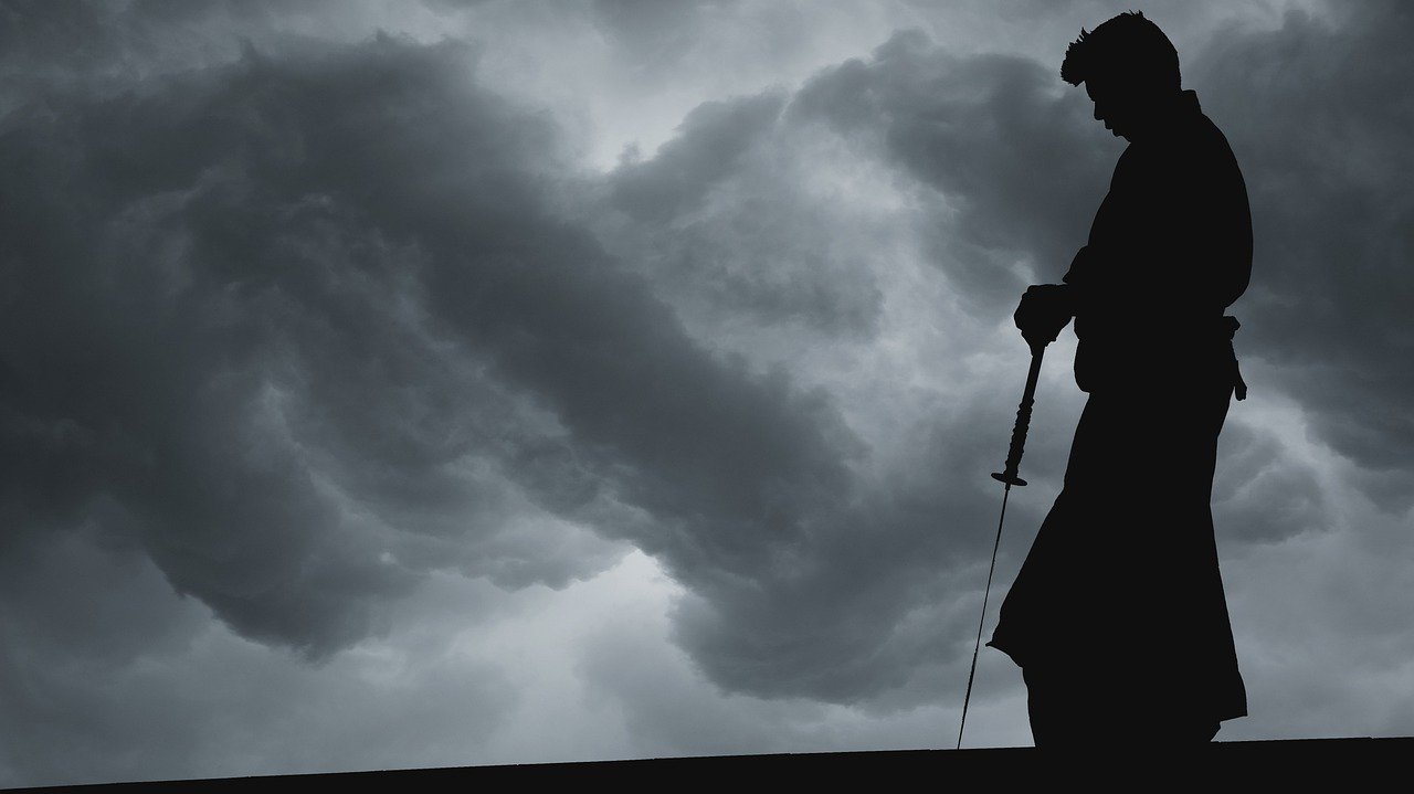 Samurai Silhouette Karate Fight - AlemCoksa / Pixabay