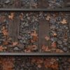 dried leaves and stones on train tracks