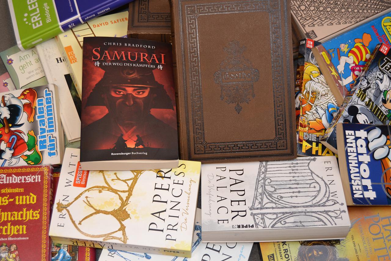 School German Literature Books  - Jaron_gmn / Pixabay