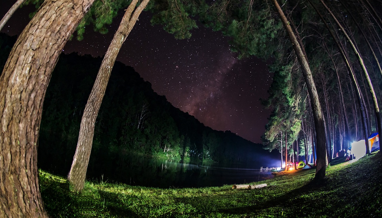 Science Science Channel  - eli007 / Pixabay