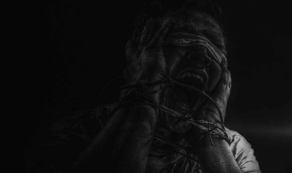 Scream Scared Man Portrait  - DangrafArt / Pixabay