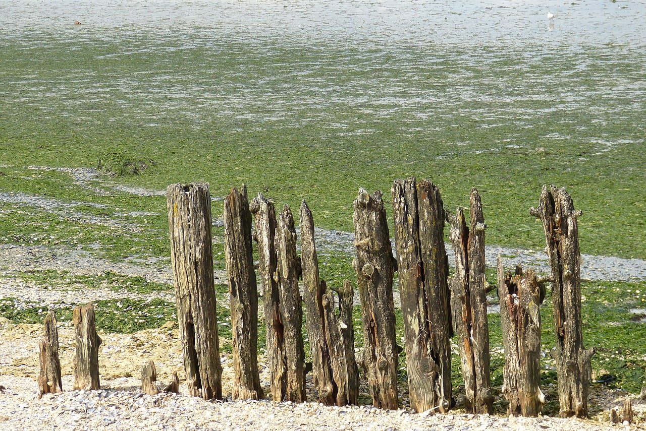 Sea Netherlands North Sea Hiking  - Routenwechsel / Pixabay