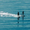 Sea Stand Up Paddle Paddling Water  - wal_172619 / Pixabay