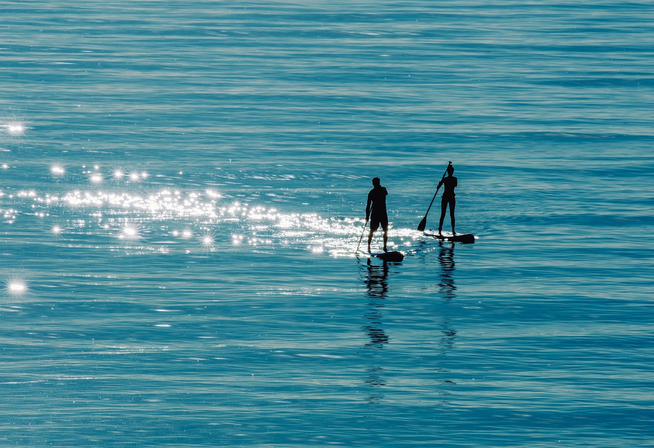 Sea Stand Up Paddle Paddling Water  - wal_172619 / Pixabay
