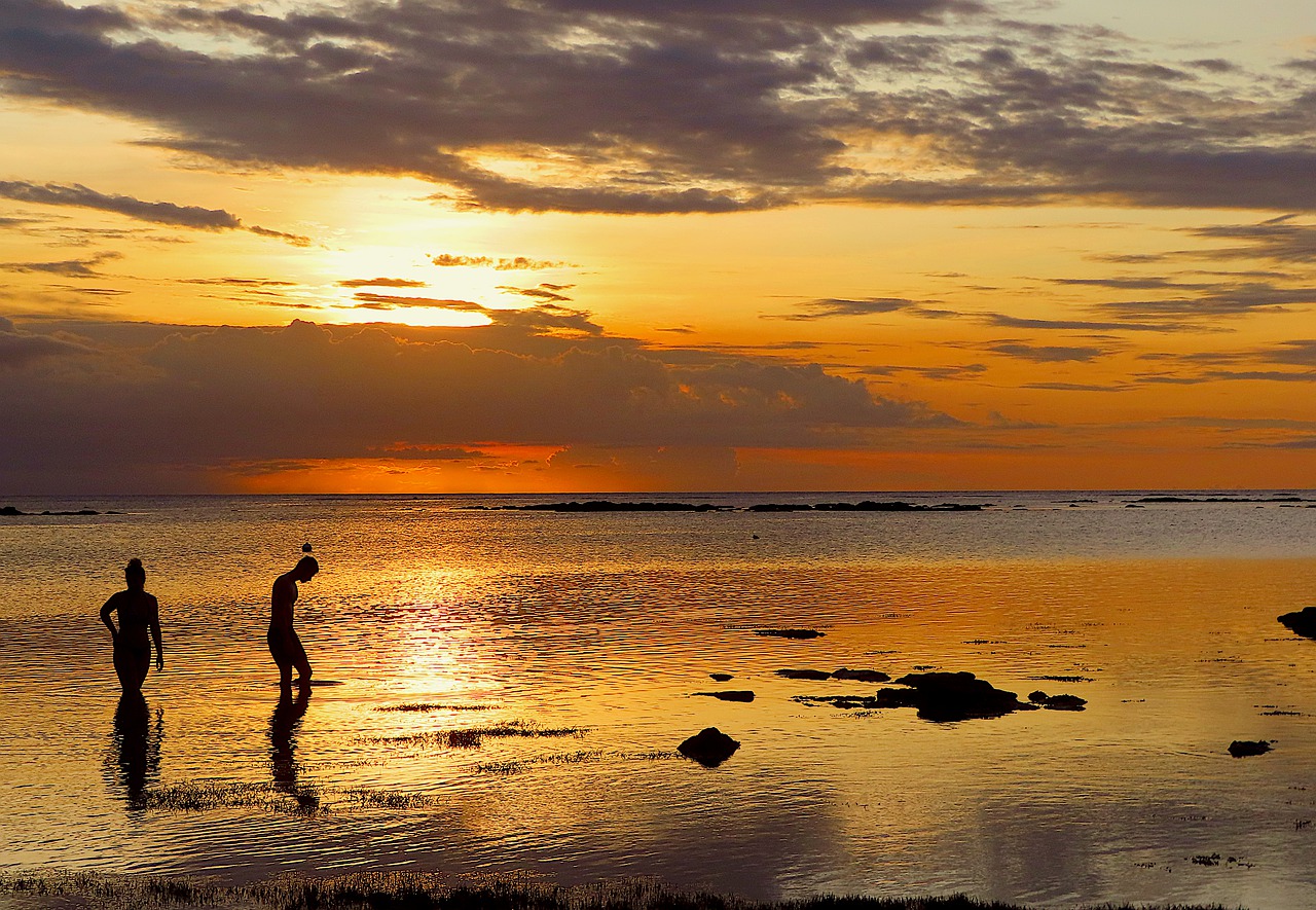 Sea Sunset Coast Clouds Nature  - Marisa04 / Pixabay