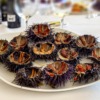 Sea Urchins Seafood Food Plate  - AMDUMA / Pixabay