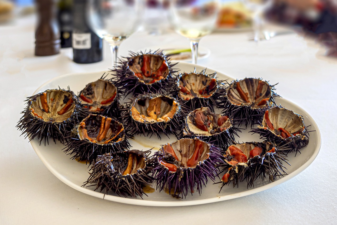 Sea Urchins Seafood Food Plate - AMDUMA / Pixabay