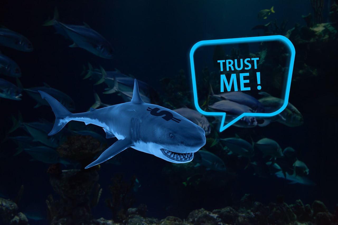Shark Dollar Trust Me Message - geralt / Pixabay