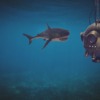 Shark Ocean Diving Bell Underwater  - flutie8211 / Pixabay