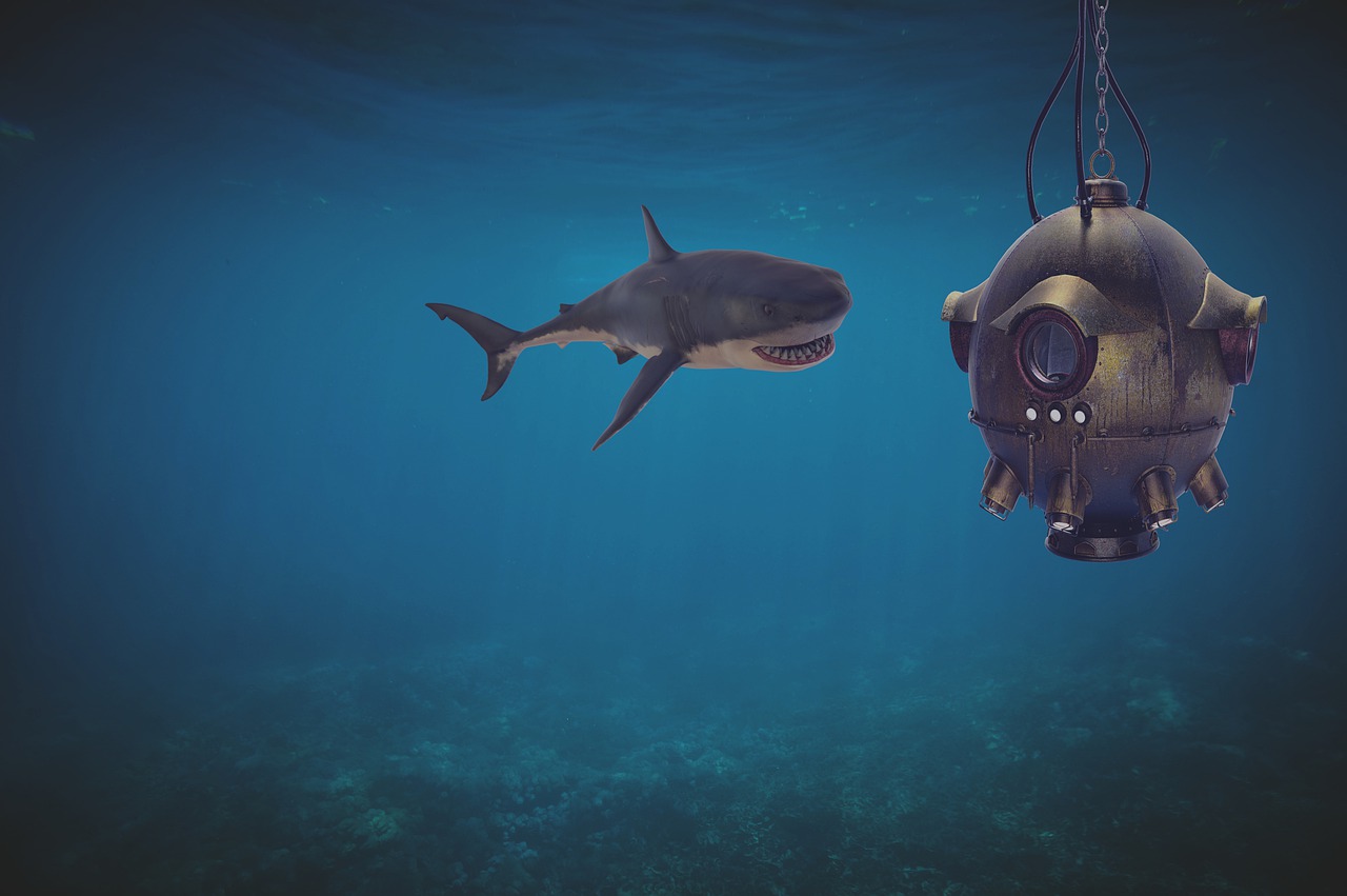 Shark Ocean Diving Bell Underwater  - flutie8211 / Pixabay