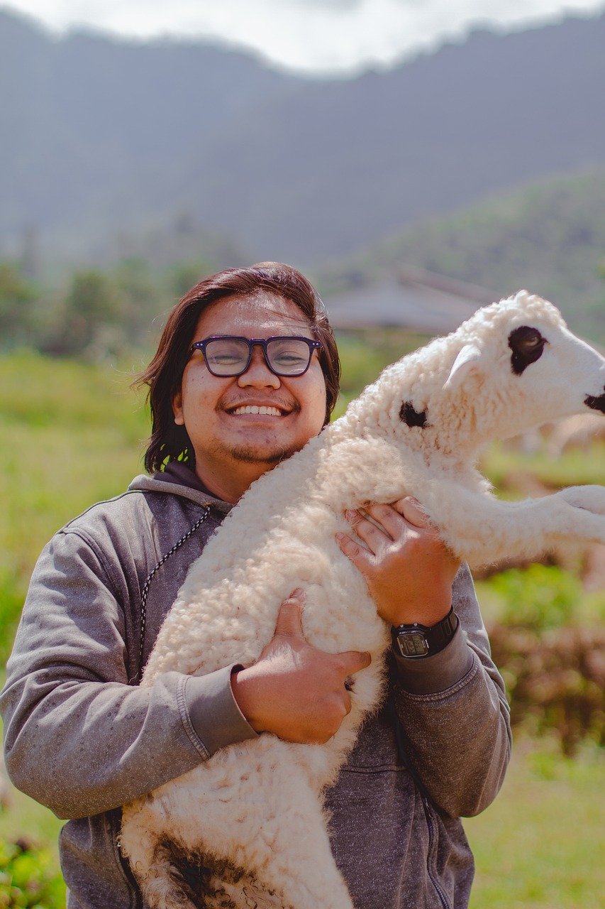 Sheep Animal Man Happy Smile Pose  - nasiklababan / Pixabay